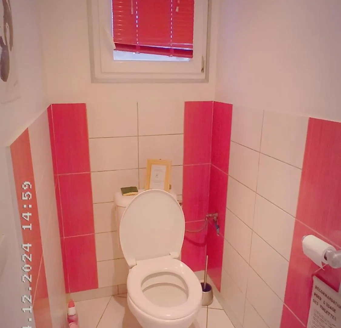 Villa Le Grand Bleu 7 Personnes Vue Lac Saint-Jorioz France